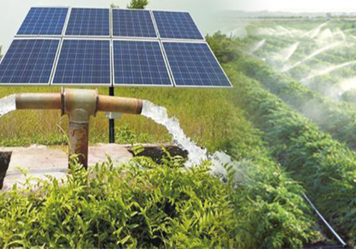Bơm nước điện mặt trời