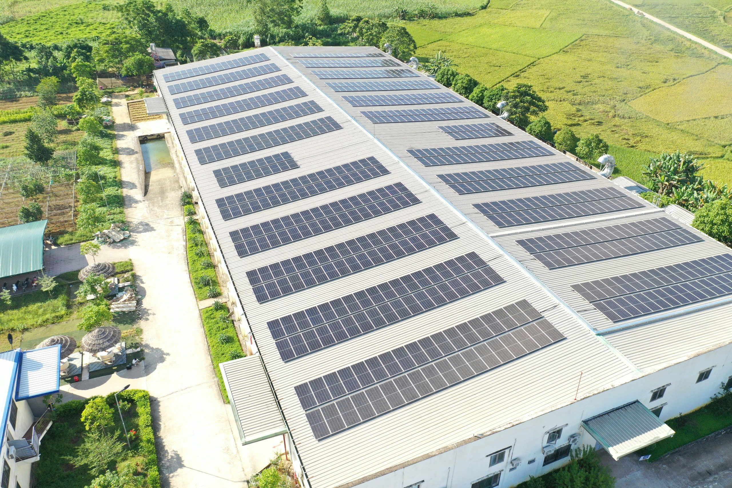 16197646788405697189