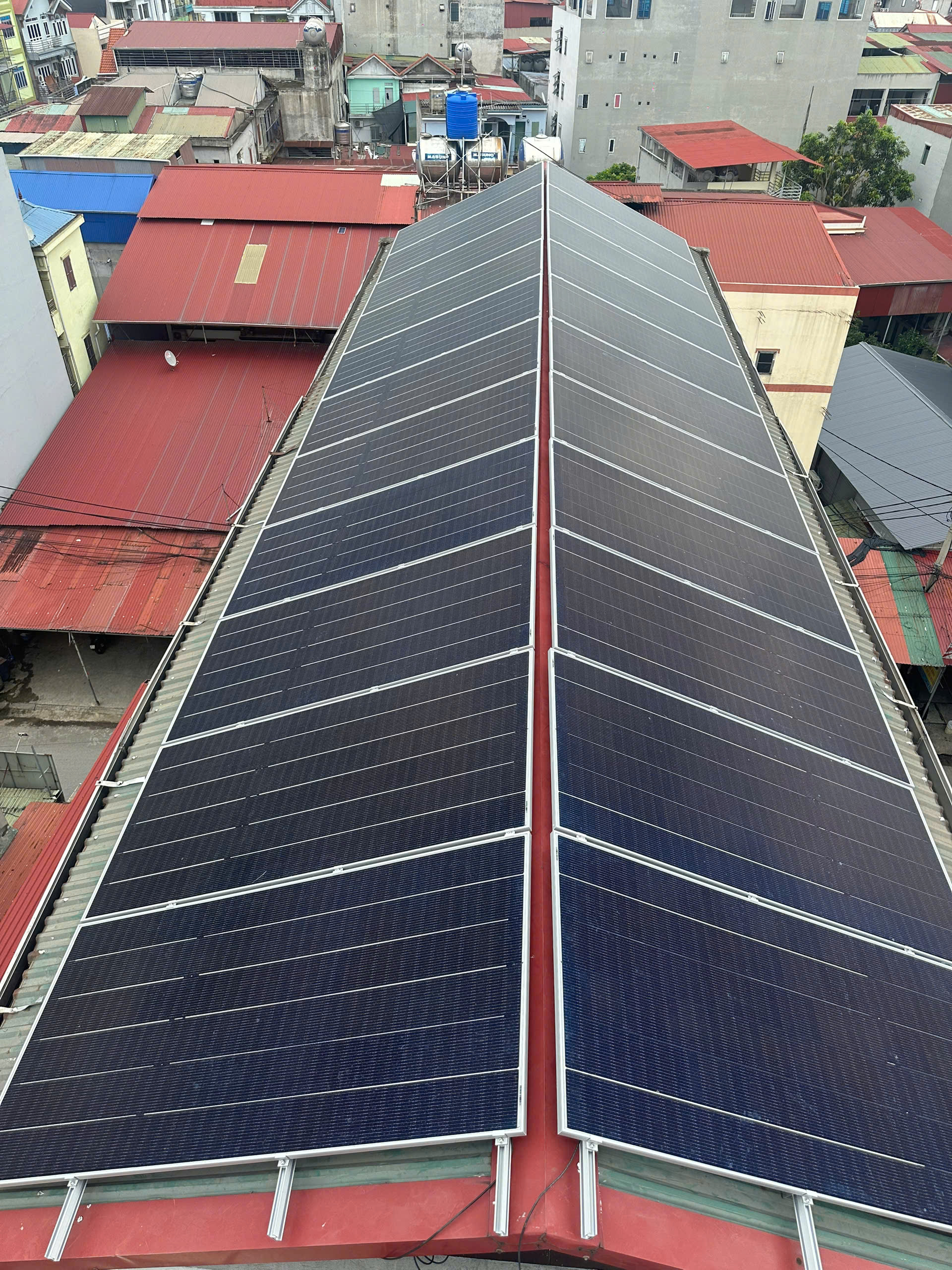 200323580399940889754